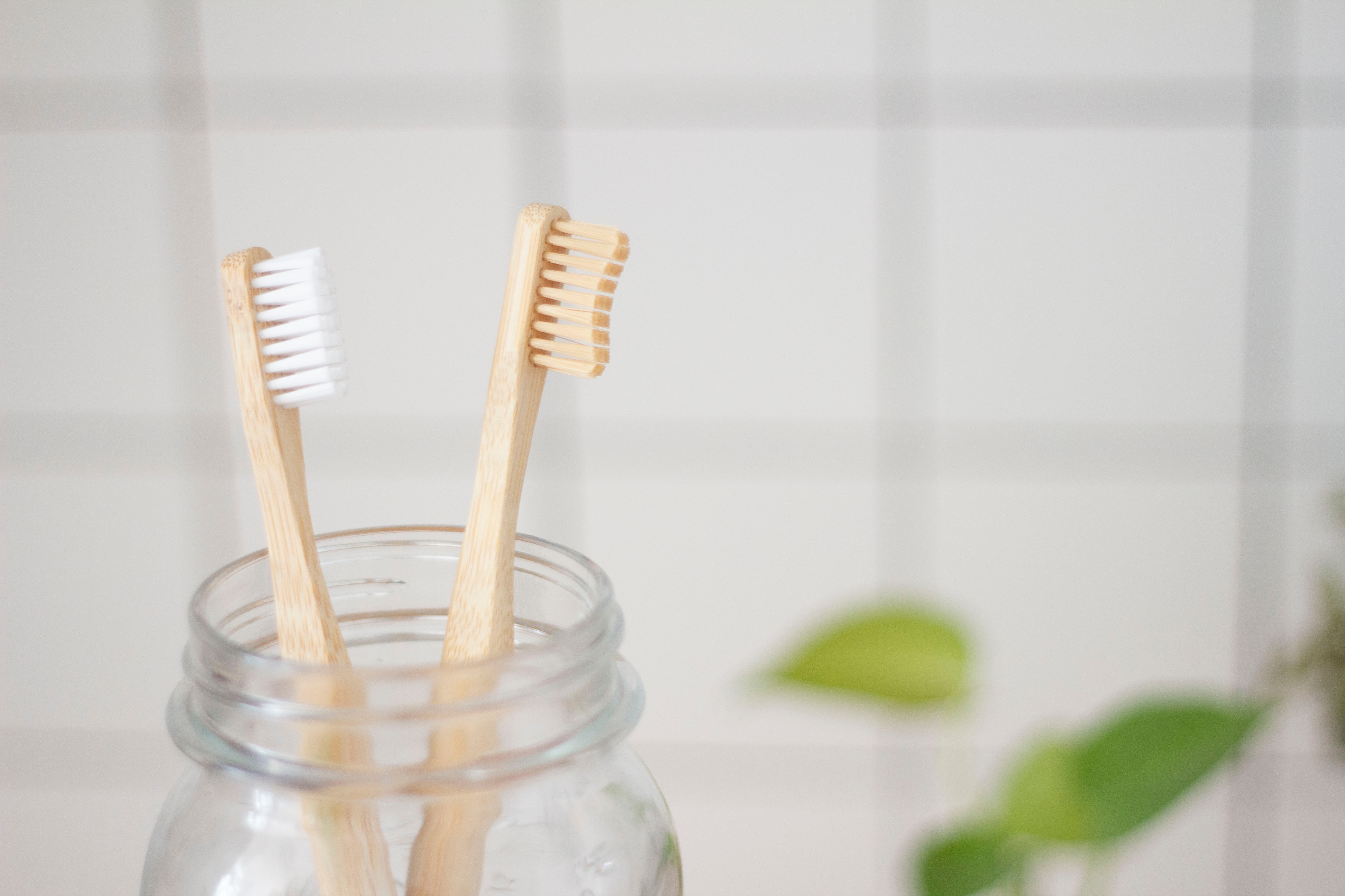Toothbrush Wood 2