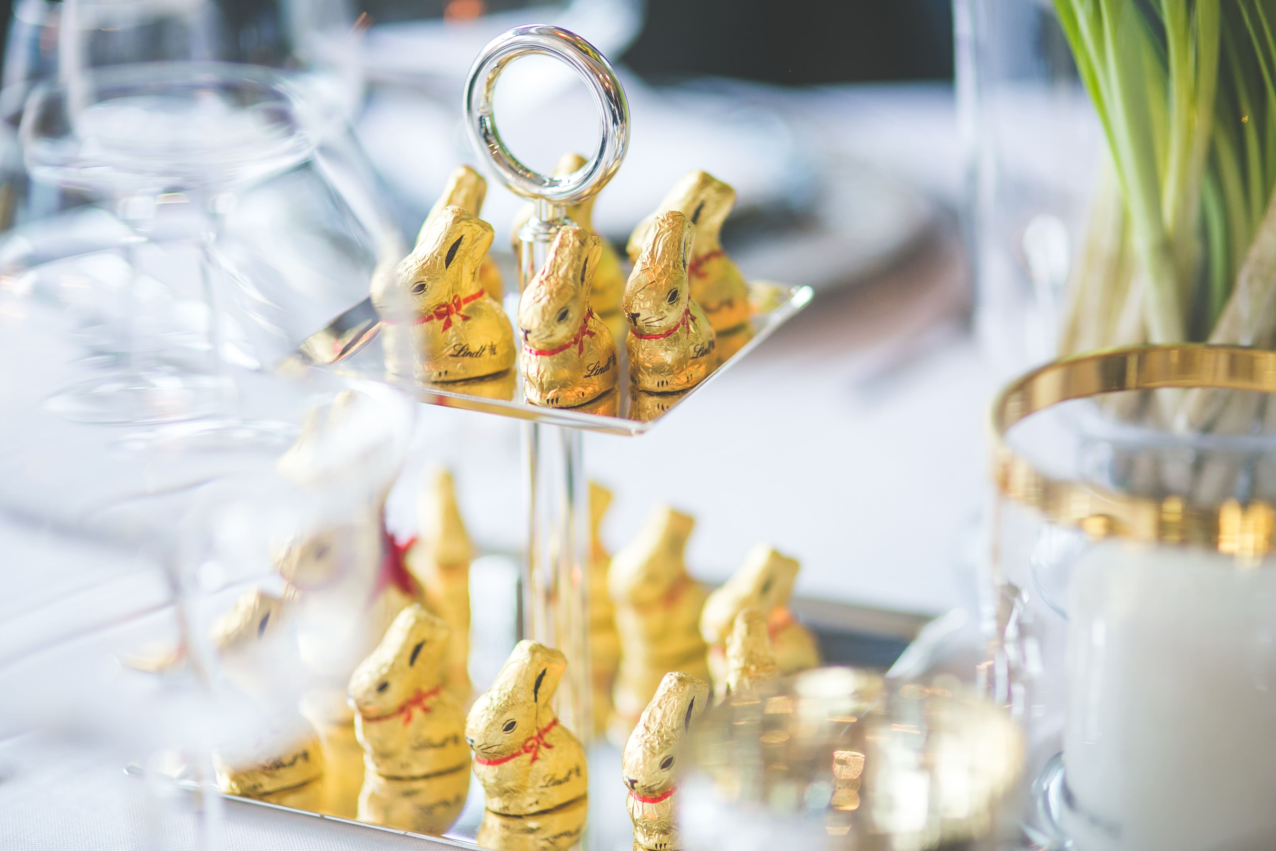 Chocolate Bunnies Easter