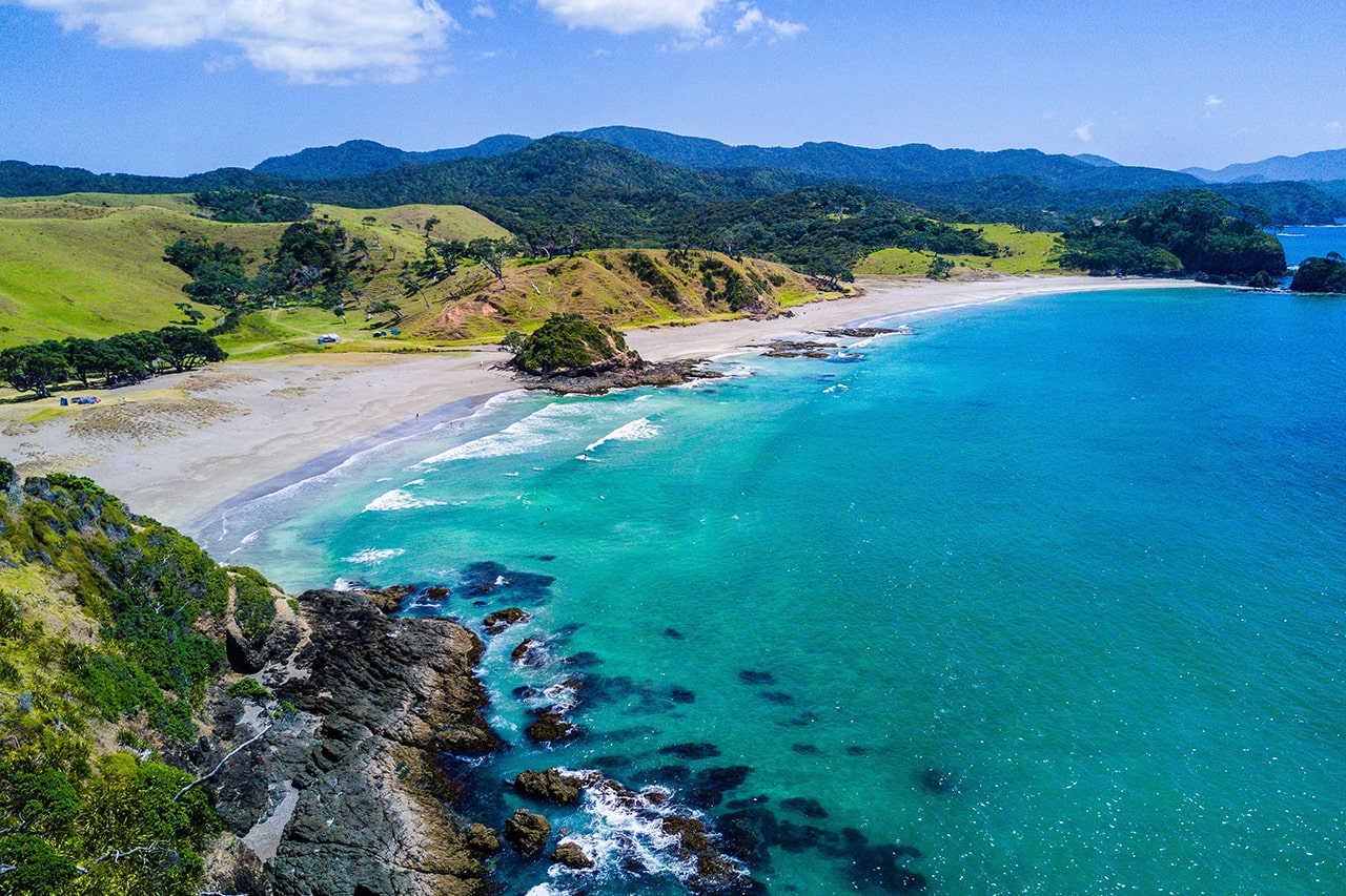 Whitianga Informer - Brush, Swish, Spit, Don't Rinse!