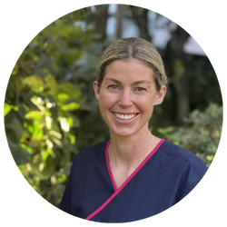 Judith Petrie Dentist In Queenstown