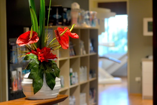 City Dental Quay Park Auckland Meet Our Team