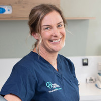 Crop Holly Christmas