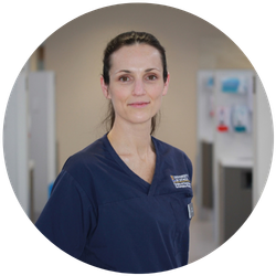 Dr Jamie Marra Dentist In Dunedin