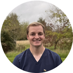 Dr Toby Dentist Mt Eden